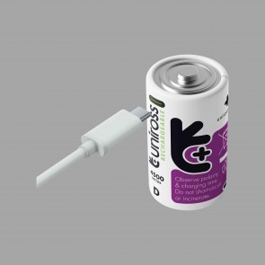 D 1,5 V Li-ion polnilna baterija (1 kos) USB-C 